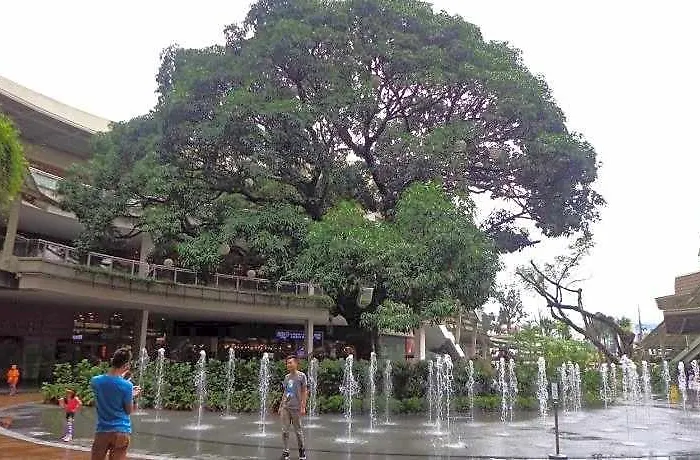 The Redwoods Sm Fairview W/ Netflix & Balcony Hotel